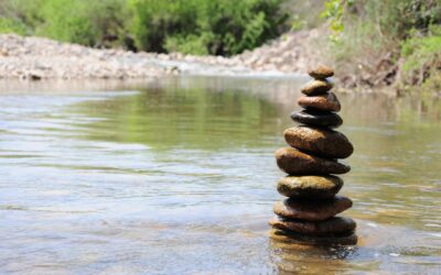 Property Management Compliance Best Practices